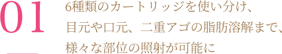 6種類のカートリッジを使い分け、目元や口元、二重アゴの脂肪溶解まで、様々な部位の照射が可能に